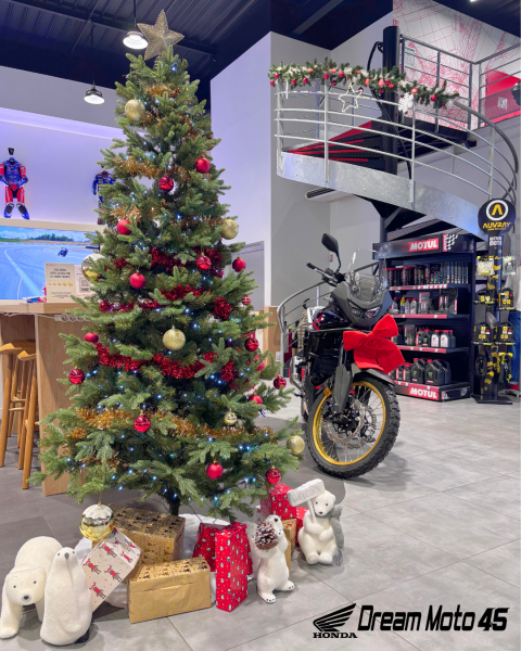 [NOËL DREAM MOTO 45]